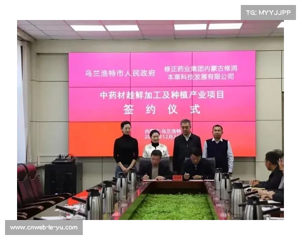 德足联高层排除海外赛可能，强调社会根基重要性